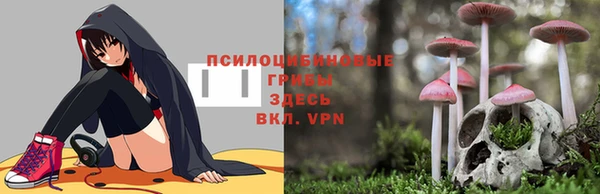 твердый Мегион