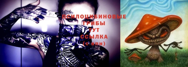 твердый Мегион