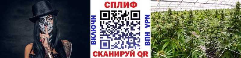 Марихуана конопля  shop клад  Вилюйск  купить наркотик  блэк спрут рабочий сайт 